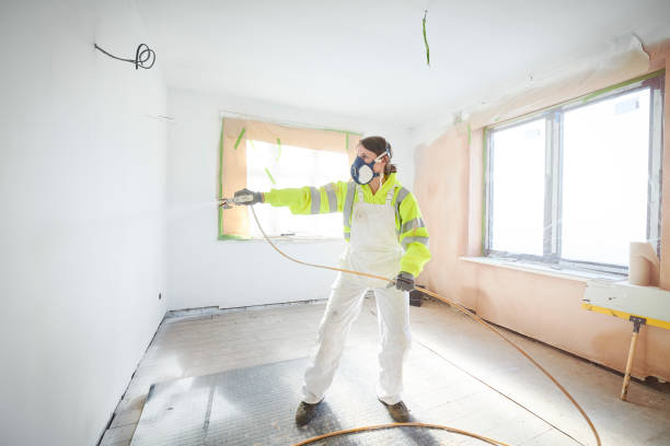 Best Attic Mold Removal  in Roswell, NM