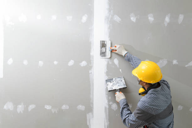 Best Commercial Mold Inspection  in Roswell, NM