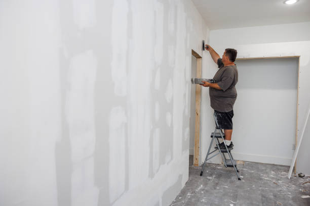 Best Real Estate Mold Inspection  in Roswell, NM
