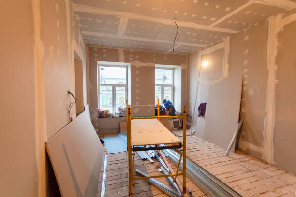 Best Asbestos and Lead Testing During Mold Inspection  in Roswell, NM